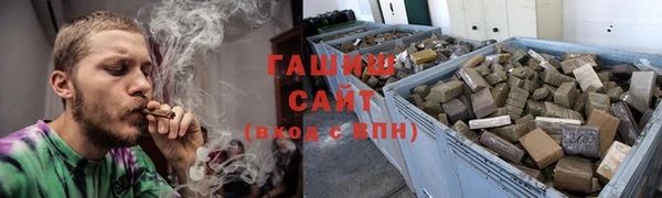 стаф Алзамай