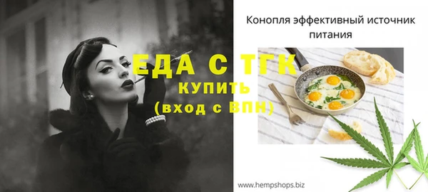стаф Алзамай