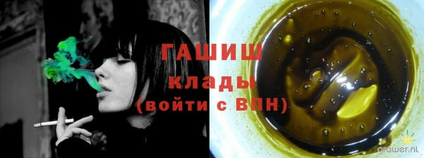 стаф Алзамай