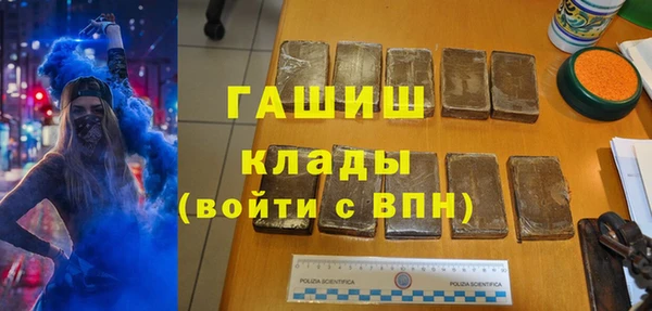 стаф Алзамай
