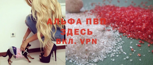 стаф Алзамай